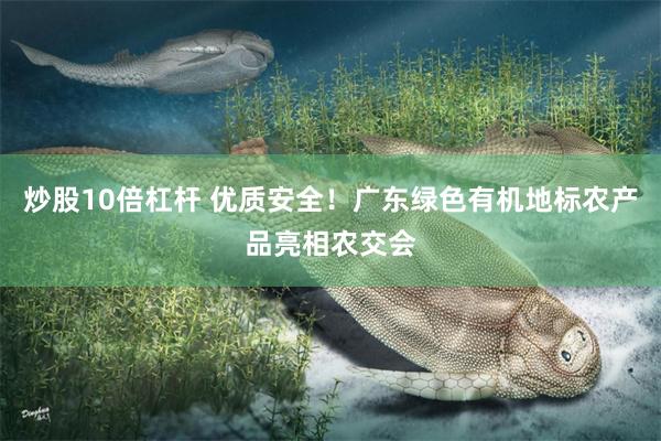 炒股10倍杠杆 优质安全！广东绿色有机地标农产品亮相农交会