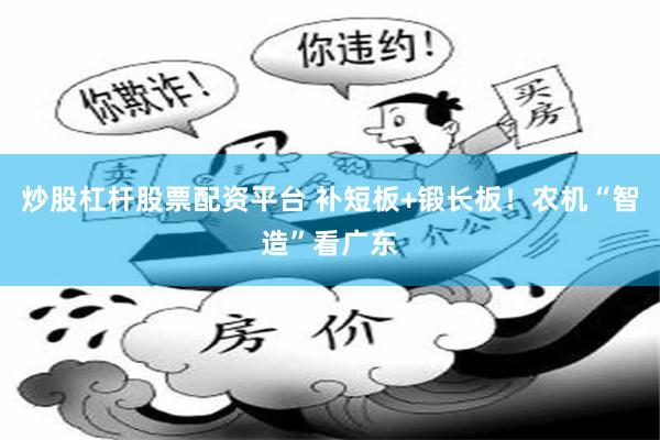 炒股杠杆股票配资平台 补短板+锻长板！农机“智造”看广东