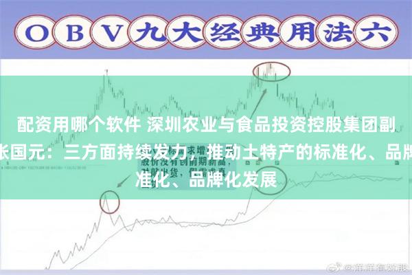 配资用哪个软件 深圳农业与食品投资控股集团副总经理张国元：三方面持续发力，推动土特产的标准化、品牌化发展