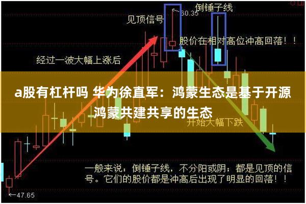 a股有杠杆吗 华为徐直军：鸿蒙生态是基于开源鸿蒙共建共享的生态