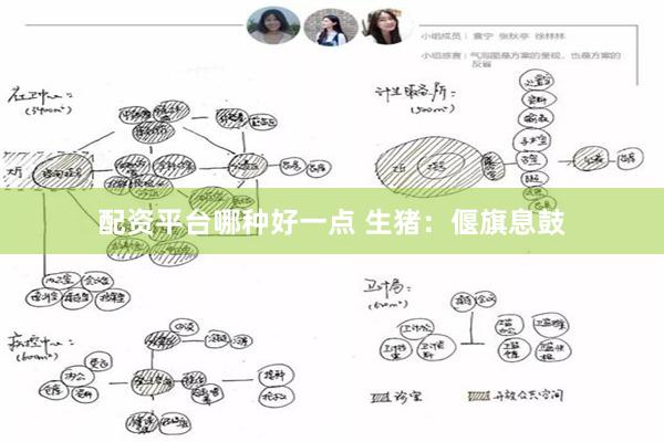 配资平台哪种好一点 生猪：偃旗息鼓