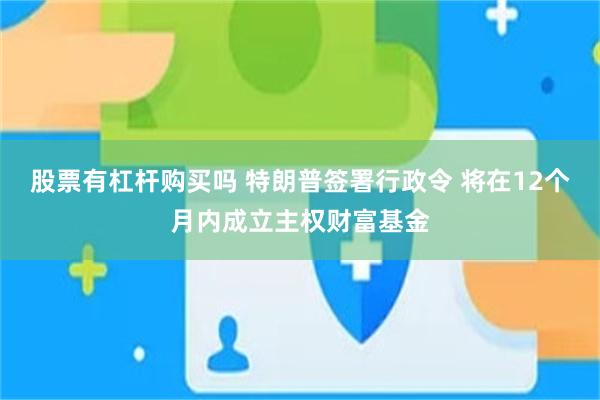 股票有杠杆购买吗 特朗普签署行政令 将在12个月内成立主权财富基金
