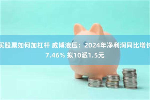 买股票如何加杠杆 威博液压：2024年净利润同比增长7.46% 拟10派1.5元