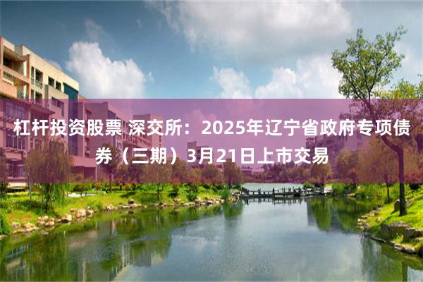杠杆投资股票 深交所：2025年辽宁省政府专项债券（三期）3月21日上市交易