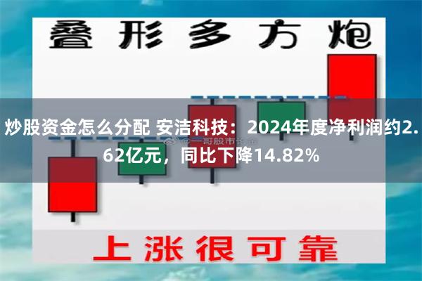 炒股资金怎么分配 安洁科技：2024年度净利润约2.62亿元，同比下降14.82%