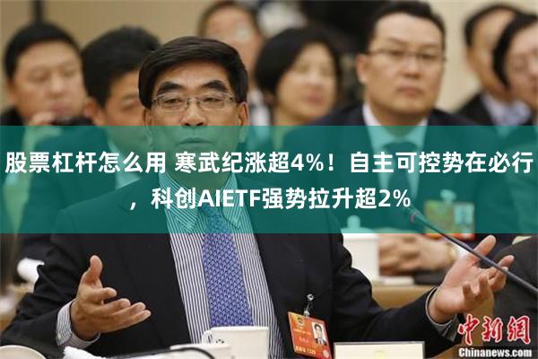 股票杠杆怎么用 寒武纪涨超4%！自主可控势在必行，科创AIETF强势拉升超2%