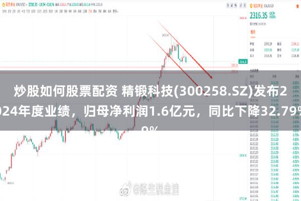 炒股如何股票配资 精锻科技(300258.SZ)发布2024年度业绩，归母净利润1.6亿元，同比下降32.79%