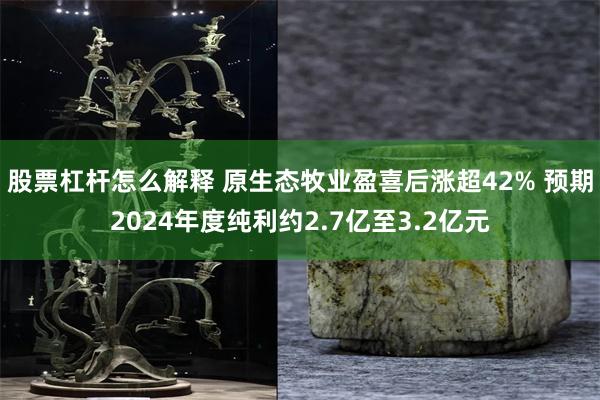 股票杠杆怎么解释 原生态牧业盈喜后涨超42% 预期2024年度纯利约2.7亿至3.2亿元