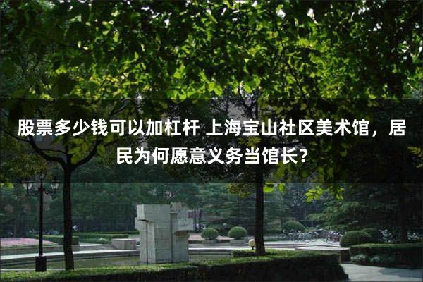 股票多少钱可以加杠杆 上海宝山社区美术馆，居民为何愿意义务当馆长？