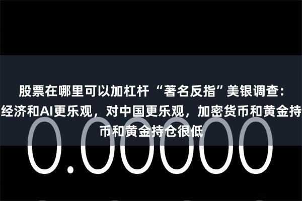 股票在哪里可以加杠杆 “著名反指”美银调查：机构对经济和AI更乐观，对中国更乐观，加密货币和黄金持仓很低