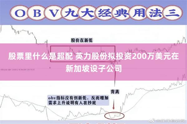股票里什么是超配 英力股份拟投资200万美元在新加坡设子公司