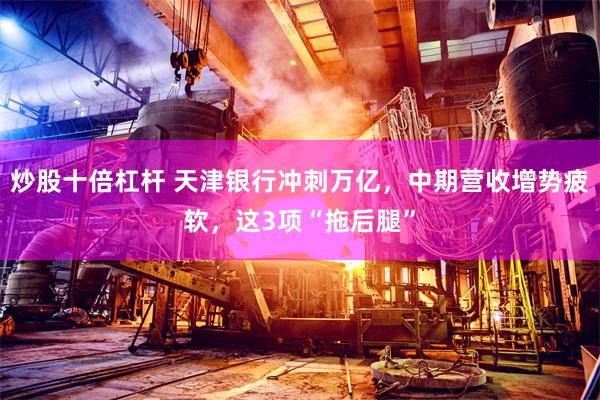 炒股十倍杠杆 天津银行冲刺万亿，中期营收增势疲软，这3项“拖后腿”