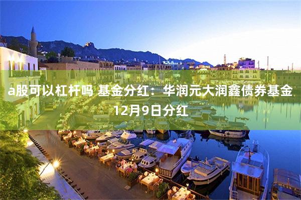 a股可以杠杆吗 基金分红:华润元大润鑫债券基金12月9日分红