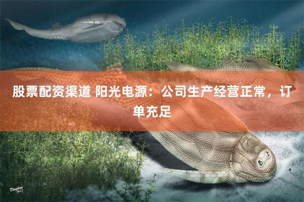 股票配资渠道 阳光电源：公司生产经营正常，订单充足