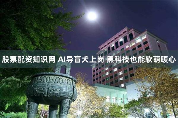 股票配资知识网 AI导盲犬上岗 黑科技也能软萌暖心
