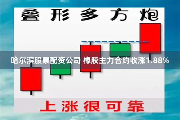 哈尔滨股票配资公司 橡胶主力合约收涨1.88%