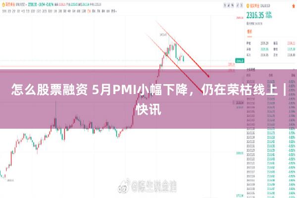 怎么股票融资 5月PMI小幅下降，仍在荣枯线上｜快讯