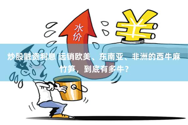 炒股融资利息 远销欧美、东南亚、非洲的西牛麻竹笋，到底有多牛？