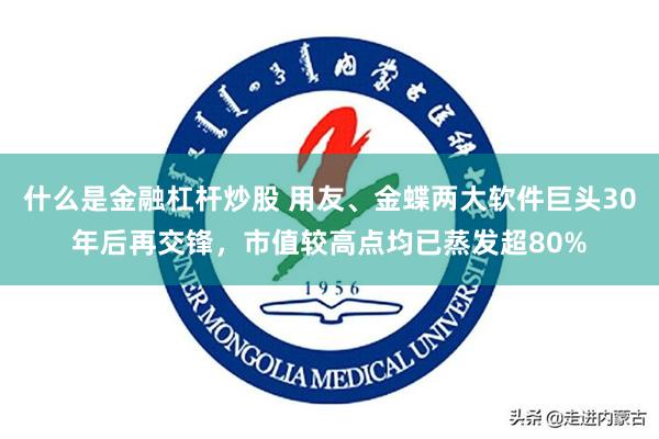 什么是金融杠杆炒股 用友、金蝶两大软件巨头30年后再交锋，市值较高点均已蒸发超80%