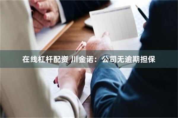 在线杠杆配资 川金诺：公司无逾期担保