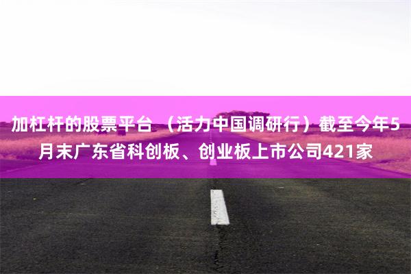 加杠杆的股票平台 （活力中国调研行）截至今年5月末广东省科创板、创业板上市公司421家