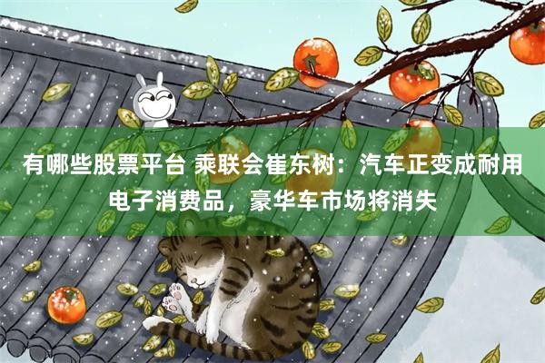 有哪些股票平台 乘联会崔东树：汽车正变成耐用电子消费品，豪华车市场将消失