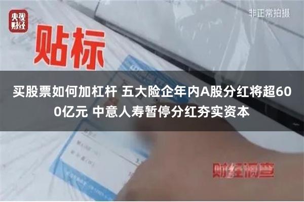 买股票如何加杠杆 五大险企年内A股分红将超600亿元 中意人寿暂停分红夯实资本