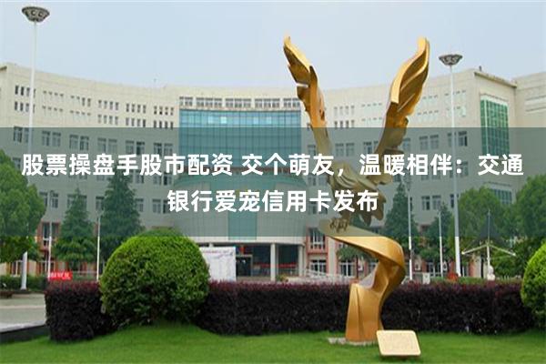 股票操盘手股市配资 交个萌友,温暖相伴:交通银行爱宠信用卡发布