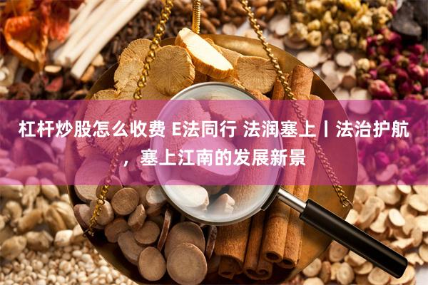杠杆炒股怎么收费 E法同行 法润塞上丨法治护航,塞上江南的发展新景