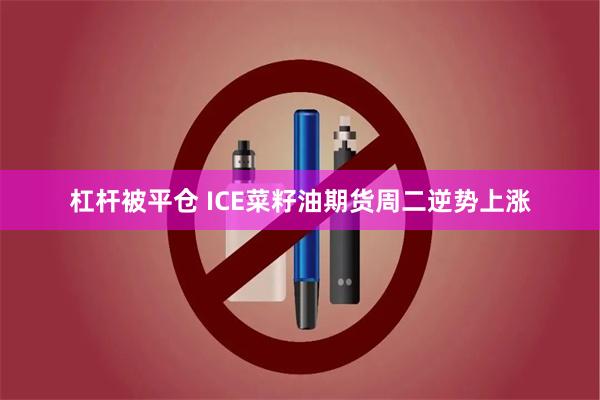 杠杆被平仓 ICE菜籽油期货周二逆势上涨