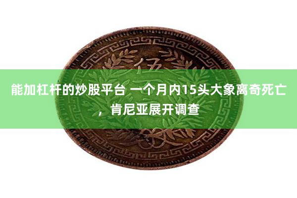 能加杠杆的炒股平台 一个月内15头大象离奇死亡，肯尼亚展开调查