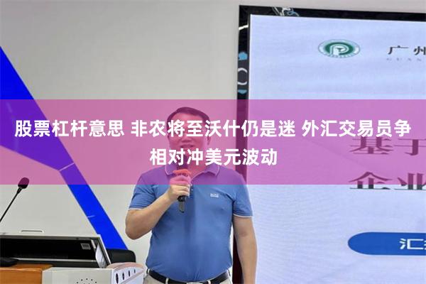 股票杠杆意思 非农将至沃什仍是迷 外汇交易员争相对冲美元波动
