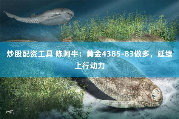 炒股配资工具 陈阿牛:黄金4385-83做多,延续上行动力