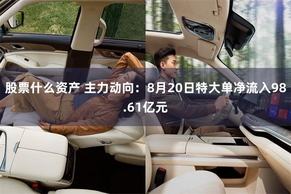 股票什么资产 主力动向：8月20日特大单净流入98.61亿元