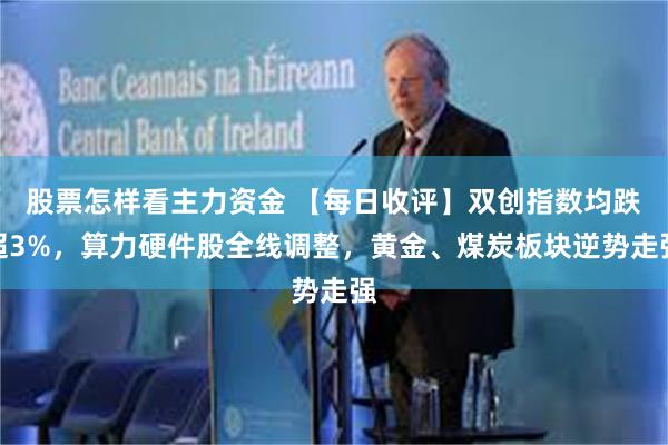 股票怎样看主力资金 【每日收评】双创指数均跌超3%，算力硬件股全线调整，黄金、煤炭板块逆势走强