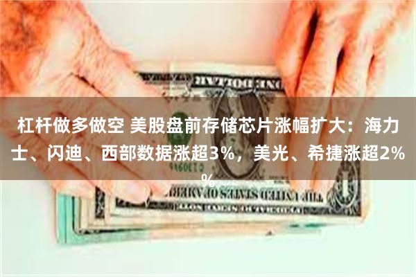 杠杆做多做空 美股盘前存储芯片涨幅扩大：海力士、闪迪、西部数据涨超3%，美光、希捷涨超2%