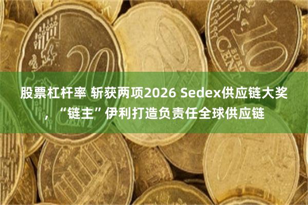 股票杠杆率 斩获两项2026 Sedex供应链大奖，“链主”伊利打造负责任全球供应链