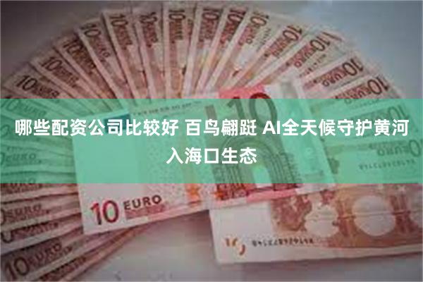 哪些配资公司比较好 百鸟翩跹 AI全天候守护黄河入海口生态