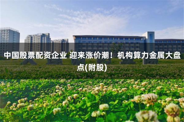中国股票配资企业 迎来涨价潮！机构算力金属大盘点(附股)