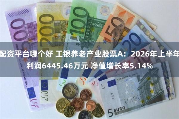 配资平台哪个好 工银养老产业股票A：2026年上半年利润6445.46万元 净值增长率5.14%