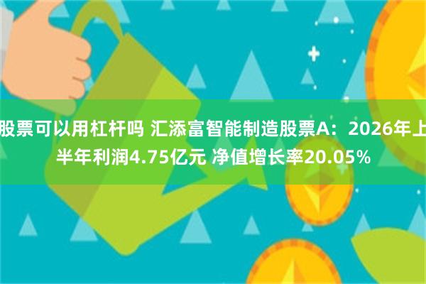 股票可以用杠杆吗 汇添富智能制造股票A：2026年上半年利润4.75亿元 净值增长率20.05%