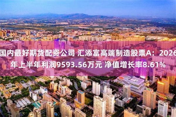 国内最好期货配资公司 汇添富高端制造股票A：2026年上半年利润9593.56万元 净值增长率8.61%