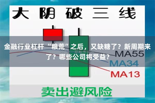 金融行业杠杆 “粮荒”之后，又缺糖了？新周期来了？哪些公司将受益？