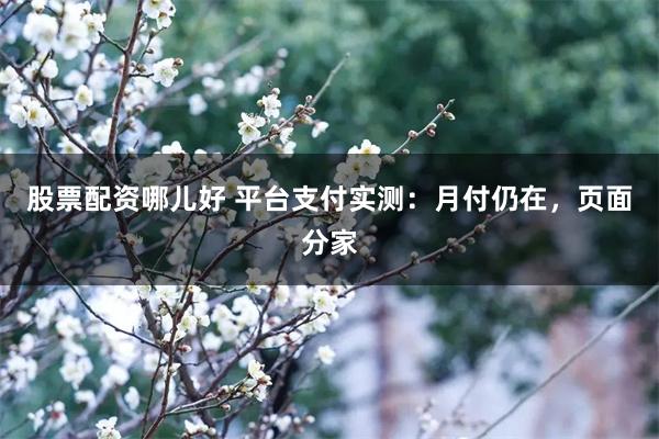股票配资哪儿好 平台支付实测：月付仍在，页面分家