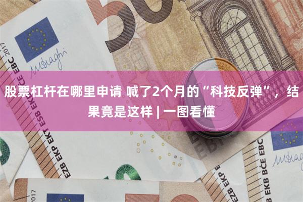 股票杠杆在哪里申请 喊了2个月的“科技反弹”，结果竟是这样 | 一图看懂