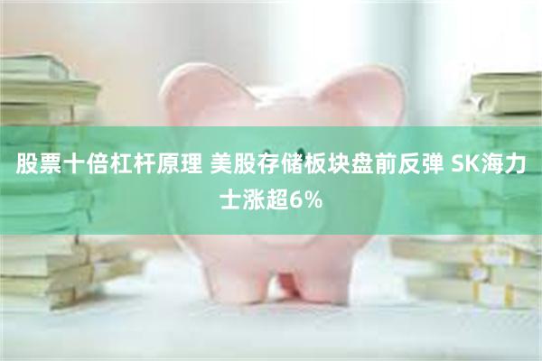 股票十倍杠杆原理 美股存储板块盘前反弹 SK海力士涨超6%